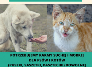 Zbiórka karmy dla zwierząt